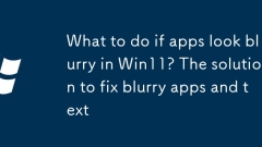 Apa yang perlu dilakukan jika aplikasi kelihatan kabur di Win11? Penyelesaian untuk memperbaiki aplikasi dan teks kabur