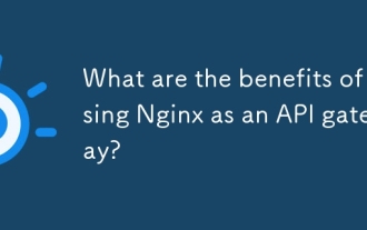 Quels sont les avantages de l'utilisation de Nginx comme passerelle API?