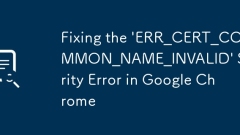 Fixing the 'ERR_CERT_COMMON_NAME_INVALID' Security Error in Google Chrome