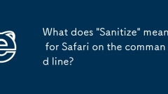 What does 'Sanitize' mean for Safari on the command line?
