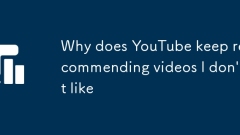 Mengapa YouTube terus mengesyorkan video yang saya tidak suka