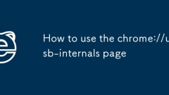 How to use the chrome://usb-internals page