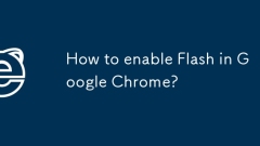 Google ???? ???? ????? ??? ??????