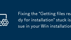 Fixing the 'Getting files ready for installation' stuck issue in your Win installation