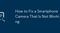 How to Fix a Smartphone Camera That Is Not Working
