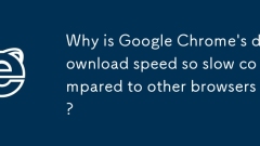Mengapa kelajuan muat turun Google Chrome begitu perlahan berbanding penyemak imbas lain?