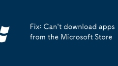 Fix: Can't download apps from the Microsoft Store