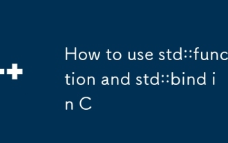 如何使用std ::功能和std :: bint in in c bind