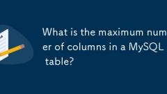 MySQL ???? ?? ? ?? ??????