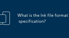 What is the lnk file format specification?