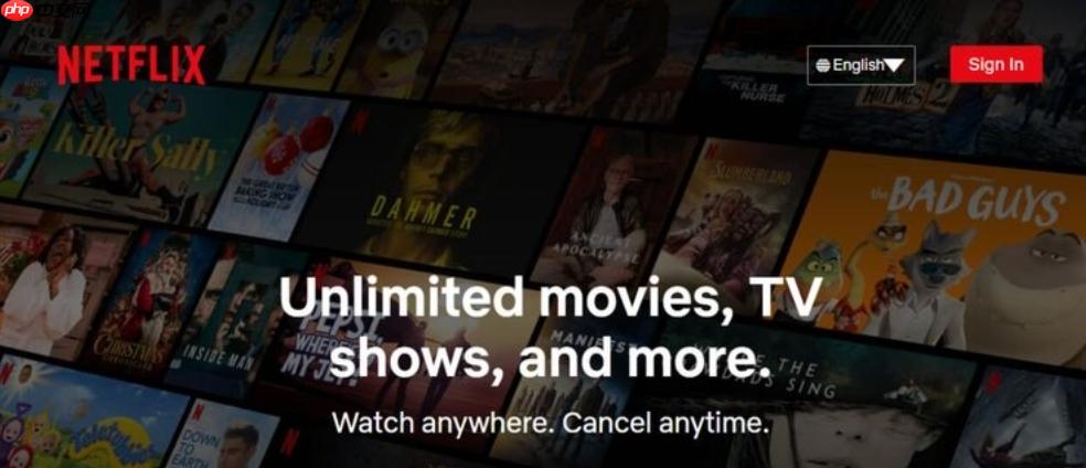 netflix官网入口地址 netflix官网入口链接