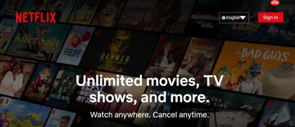 netflix官网入口地址 netflix官网入口链接