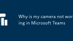 Mengapa kamera saya tidak berfungsi di pasukan Microsoft