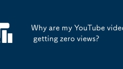 ? YouTube ???? ?? ?? ?? ??? ??????