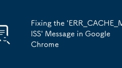 Chrome?? 'err_cache_miss'???? ?????