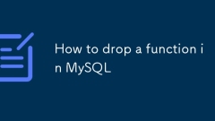 MySQL?? ??? ???? ??