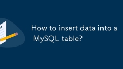 MySQL ???? ???? ???? ??? ??????