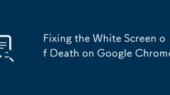 Fixing the White Screen of Death on Google Chrome