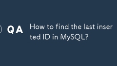 MySQL?? ????? ?? ? ID? ?? ??? ??????