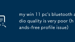 my win 11 pc's bluetooth audio quality is very poor (hands-free profile issue)