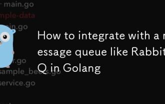 Golang의 RabbitMQ와 같은 메시지 대기열과 통합하는 방법