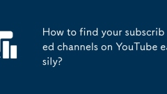 Bagaimana untuk mencari saluran anda yang melanggan di YouTube dengan mudah?