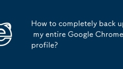 How to completely back up my entire Google Chrome profile?