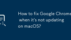 How to fix Google Chrome when it's not updating on macOS?