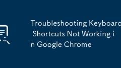 Troubleshooting Keyboard Shortcuts Not Working in Google Chrome