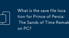 What is the save file location for Prince of Persia: The Sands of Time Remake on PC?
