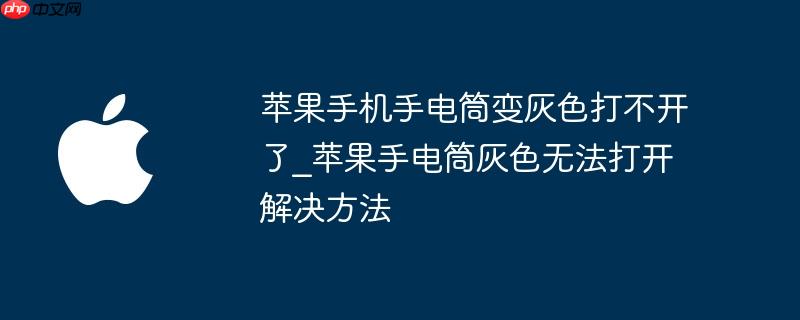 苹果手机手电筒变灰色打不开了_苹果手电筒灰色无法打开解决方法