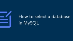 MySQL?? ??????? ???? ??