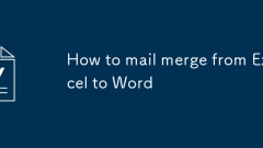 Excel?? Word? ??? ???? ??? ??