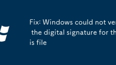 Fix: Windows could not verify the digital signature for this file