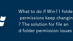 What to do if Win11 folder permissions keep changing? The solution for file and folder permission issues