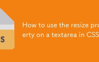 CSS의 Textarea에서 크기 조정 속성 사용 방법