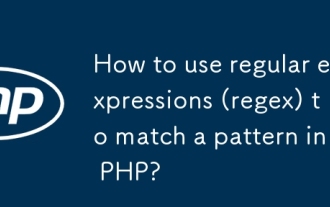 如何使用正則表達式(REGEX)與PHP中的模式匹配?