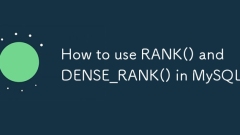MySQL?? Rank () ? Dense_Rank ()? ???? ??