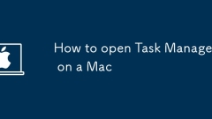 How to open Task Manager on a Mac