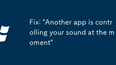 Fix: 'Another app is controlling your sound at the moment'