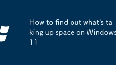 Cara mengetahui apa yang mengambil ruang pada Windows 11