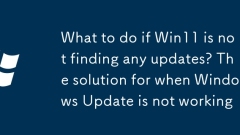 Apa yang perlu dilakukan jika Win11 tidak menemui sebarang kemas kini? Penyelesaiannya apabila kemas kini Windows tidak berfungsi