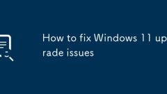 Cara Memperbaiki Masalah Meningkatkan Windows 11
