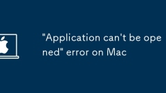 'Application can't be opened' error on Mac