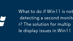 Apa yang perlu dilakukan jika Win11 tidak mengesan monitor kedua? Penyelesaian untuk pelbagai masalah paparan di Win11