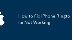 How to Fix iPhone Ringtone Not Working