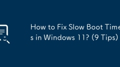 Bagaimana untuk memperbaiki masa boot perlahan di Windows 11? (9 petua)
