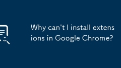 Mengapa saya tidak boleh memasang sambungan di Google Chrome?