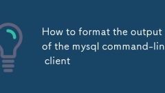MySQL ?? ? ?????? ??? ???? ??