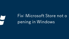 Betulkan: Microsoft Store tidak membuka di Windows